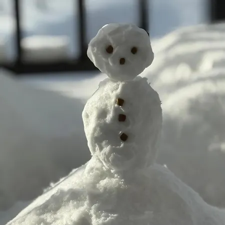 U Kosle Sauna I Bilard 3*