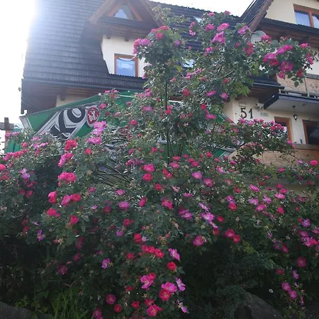 U Kosle Sauna I Bilard ザコパネ