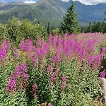 U Kosle Sauna I Bilard Zakopane