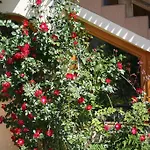 U Kosle Sauna I Bilard Panzió