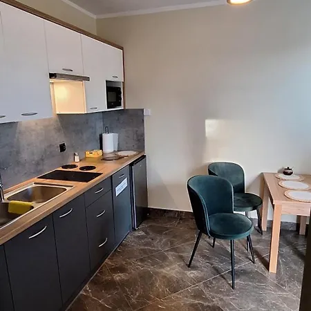 Bed & Breakfast U Kosle Sauna I Bilard Zakopane