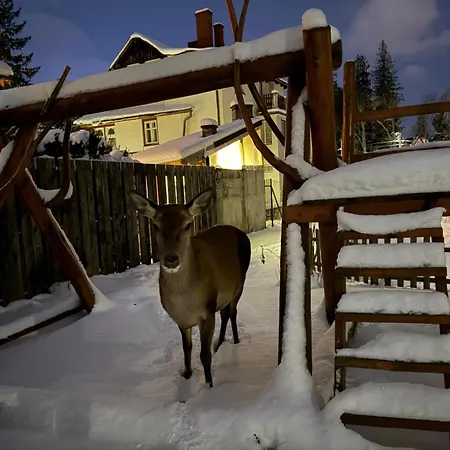 Bed & Breakfast U Kosle Sauna I Bilard