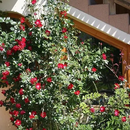 U Kosle Bed & Breakfast